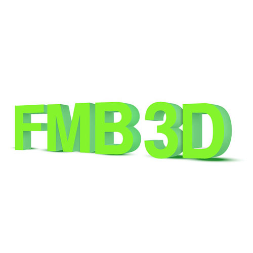 Logo FMB 3D